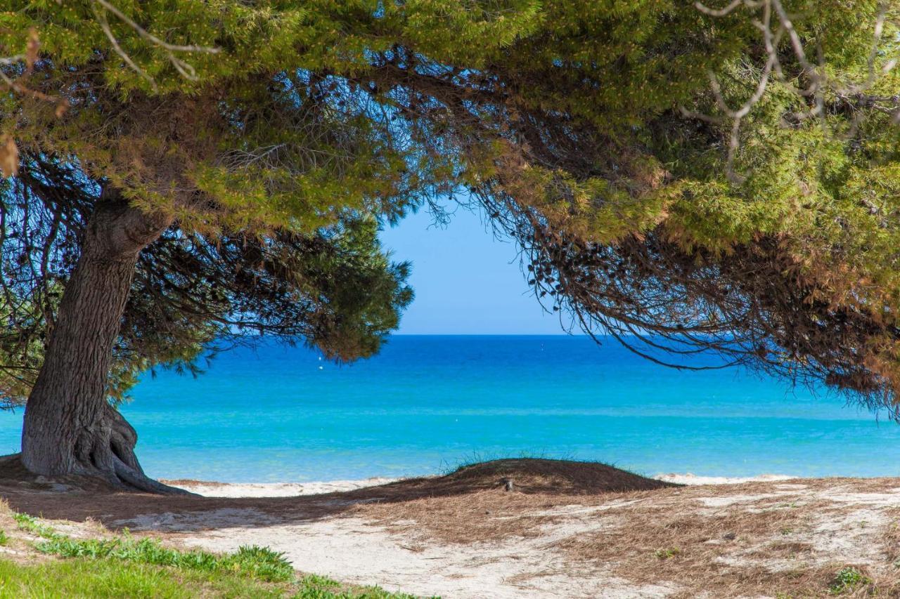 Villa Violeta De Mar Playa de Muro  Esterno foto